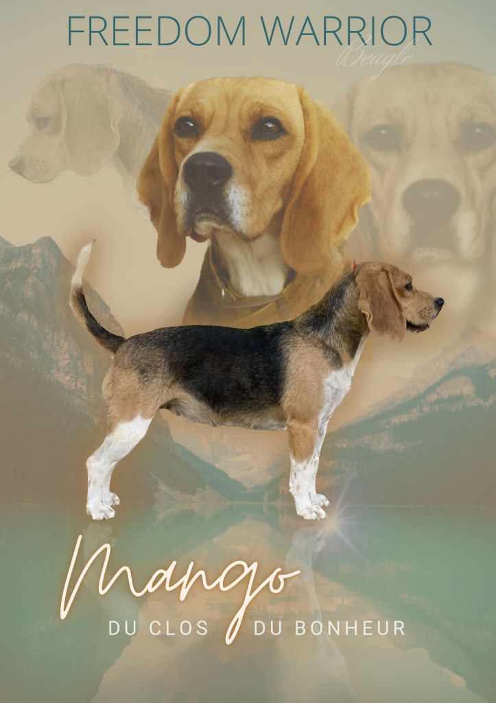 Mango du clos du bonheur