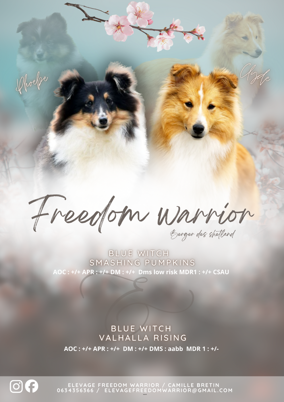 Naissance à lélevage !